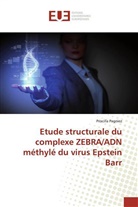 Priscilla Pagniez - Etude structurale du complexe ZEBRA/ADN méthylé du virus Epstein Barr