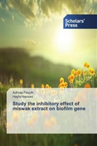 Adhra Flayyih, Adhraa Flayyih, Hayfa Hassani - Study the inhibitory effect of miswak extract on biofilm gene