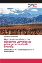 Julieta Carricondo Robino - Aprovechamiento de desechos vitivinícolas para generación de energía