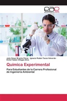 Julio Césa Bracho Pérez, Julio César Bracho Pérez, Ignacio Tacza Valverde, Ignacio Rubén Tacza Valverde, Elvito Fabián Villegas Silva - Química Experimental