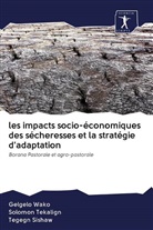 Tegegn Sishaw, Solomo Tekalign, Solomon Tekalign, Gelgel Wako, Gelgelo Wako - les impacts socio-économiques des sécheresses et la stratégie d'adaptation