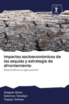 Tegegn Sishaw, Solomo Tekalign, Solomon Tekalign, Gelgel Wako, Gelgelo Wako - impactos socioeconómicos de las sequías y estrategia de afrontamiento