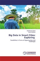 Abdelkhale Alastal, Abdelkhalek Alastal, Usama Badawy - Big Data in Smart Cities: Exploring