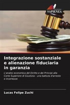 Lucas Felipe Zuchi - Integrazione sostanziale e alienazione fiduciaria in garanzia