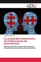 Josué Cruz Sánchez - La propiedad intelectual y las indicaciones de procedencia