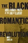 Matt Sandler, Matthew F. Sandler - Black Romantic Revolution