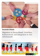 Bouchaib Chbada - Migration in Deutschland. Zwischen Kulturschock und Integration in den Arbeitsmarkt