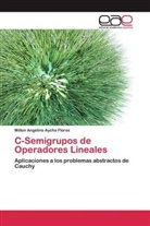 Milton Angelino Aycho Flores - C-Semigrupos de Operadores Lineales