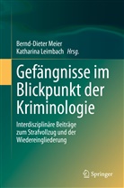 Leimbach, Leimbach, Katharina Leimbach, Bernd-Diete Meier, Bernd-Dieter Meier - Gefängnisse im Blickpunkt der Kriminologie