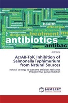 Jyoti Mehta - AcrAB-TolC Inhibition of Salmonella Typhimurium from Natural Sources