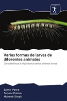 Tapa Khatua, Tapan Khatua, Sami Patra, Samir Patra, Mukesh Singh - Varias formas de larvas de diferentes animales