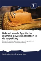 Venice Ibrahim Shehatta Attia - Behoud van de Egyptische mummie gevuld met katoen in de verpakking