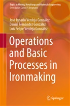 Fernández González, Daniel Fernández González, José Ignaci Verdeja González, José Ignacio Verdeja González, Luis Felipe Verdeja González - Operations and Basic Processes in Ironmaking