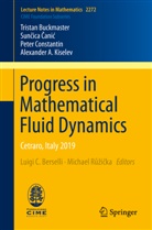 Sun¿ica ¿Ani¿, Sunica ani, Trista Buckmaster, Tristan Buckmaster, Suncic Canic, Suncica Canic... - Progress in Mathematical Fluid Dynamics
