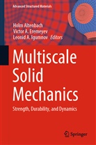 Victo A Eremeyev, Victor A Eremeyev, Leonid A Igumnov, Holm Altenbach, Victor A. Eremeyev, Leonid Igumnov... - Multiscale Solid Mechanics