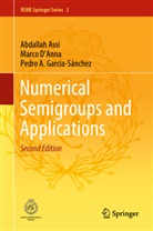 Abdalla Assi, Abdallah Assi, Marc D'Anna, Marco D'Anna, Pedro García-Sánchez, Pedro A. García-Sánchez - Numerical Semigroups and Applications