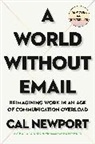 Cal Newport - A World Without Email