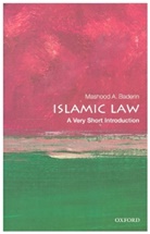 Mashood A. Baderin, Mashood A. (Professor of Law Baderin - Islamic Law