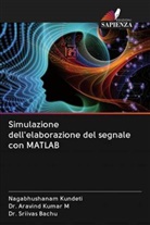 Bachu, Dr. Sriivas Bachu, Sriivas Bachu, M. Aravind Kumar, Nagabhushana Kundeti, Nagabhushanam Kundeti... - Simulazione dell'elaborazione del segnale con MATLAB