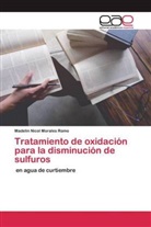 Madelin Nicol Morales Romo - Tratamiento de oxidación para la disminución de sulfuros