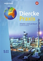 Andrea Bremm, Andreas Bremm, Ursul Brinkmann-Brock, Ursula Brinkmann-Brock, E Elvenich, Erik Elvenich... - Diercke Praxis SII - Arbeits- und Lernbuch - Ausgabe 2020