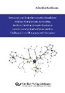 Sebastian Kaufmann - Ferrocenyl- und Ethinylferrocen-funktionalisierte Amidinat-Komplexe und Anwendung des Samarium-Komplexes als Katalysator sowie N-Heterozyklische Silylene und ihre Chalkogenid- und Übergangsmetall-Komplexe