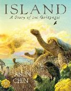 Jason Chin, Chin Jason, Jason Chin - Island