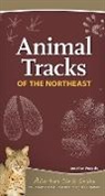 Jonathan Poppele - Animal Tracks of the Northeast