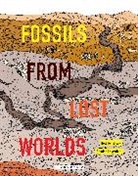 Damien Laverdunt, Laverdunt Damien, Helene Rajcak, Hélène Rajcak, Damien Laverdunt, Helene Rajcak... - Fossils from Lost Worlds