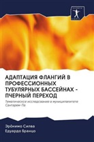 Eduardo Branco, Jer&ocirc;nimo Silwa - ADAPTACIYa FLANGIJ V PROFESSIONNYH TUBULYaRNYH BASSEJNAH - PChERNYJ PEREHOD