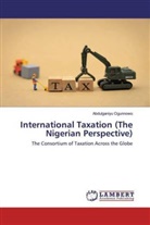 Abdulganiyu Ogunnowo - International Taxation (The Nigerian Perspective)