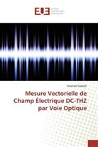 Gwenael GABORIT - Mesure Vectorielle de Champ Électrique DC-THZ par Voie Optique