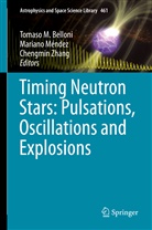 Tomaso M. Belloni, Marian Méndez, Mariano Méndez, Chengmin Zhang - Timing Neutron Stars: Pulsations, Oscillations and Explosions