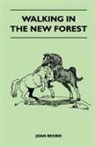 Joan Begbie - Walking in the New Forest