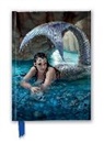 Flame Tree Studio - Anne Stokes: Hidden Depths (Foiled Journal)