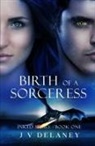 J V Delaney - Birth Of A Sorceress