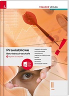Elke Austerhuber, Monika Dauterive, Carla Jarosch-Frötscher, Herlinde Maier, Monika Najand-Ellmer, Elke Rammer... - Praxisblicke - Betriebswirtschaft II HAK + digitales Zusatzpaket