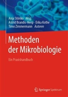 Astri Brandis-Heep, Astrid Brandis-Heep, Erik Kothe, Erika Kothe, Störiko, Timo Zimmermann... - Methoden der Mikrobiologie