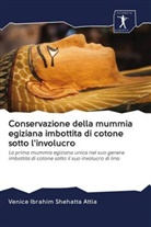 Venice Ibrahim Shehatta Attia - Conservazione della mummia egiziana imbottita di cotone sotto l'involucro