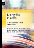 Dan Cheng, Robert Cudd, Fel Federico, Felici Federico, Felicia Federico, Eri Fournier... - Energy Use in Cities
