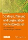 Frank Witte - Strategie, Planung und Organisation von Testprozessen