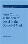 Max Botner, BOTNER MAX, Botner Max Botner - Jesus Christ As the Son of David in the Gospel of Mark