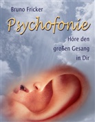 Bruno Fricker - Psychofonie