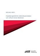 Michael Weiß - Impedanzgestützte Lebensdaueranalyse von Lithium-Ionen Batterien