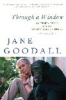 Jane Goodall - Through a Window