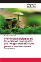 María Viviana Bojanich - Interacción biológica de las enzimas producidas por hongos nematófagos