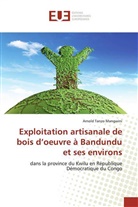 Arnold Tanzo Mangwini - Exploitation artisanale de bois d'oeuvre à Bandundu et ses environs