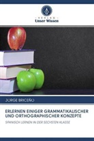 JORGE BRICEÑO - ERLERNEN EINIGER GRAMMATIKALISCHER UND ORTHOGRAPHISCHER KONZEPTE