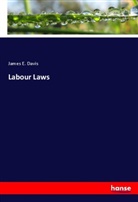 James E Davis, James E. Davis - Labour Laws