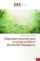 Domoina Francine Andriantsoa - Élaboration d'une EIE pour un projet aurifère à Marolambo Madagascar